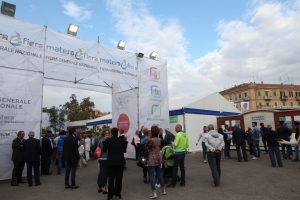 --IMG_8605